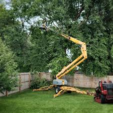 Best Fruit Tree Pruning  in Lowes Island, VA