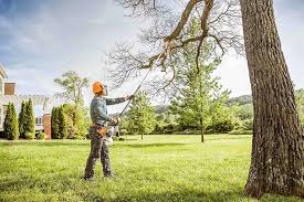 Best Tree Risk Assessment  in Lowes Island, VA