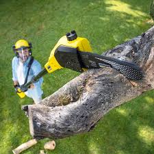 Best Tree and Shrub Care  in Lowes Island, VA