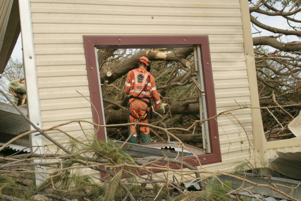 Best Hazardous Tree Removal  in Lowes Island, VA