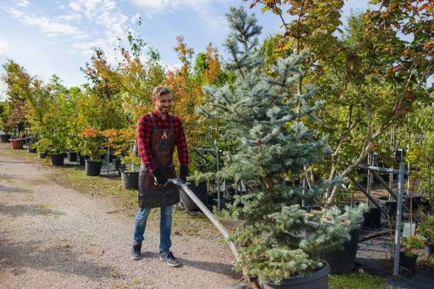 Mulching Services in Lowes Island, VA